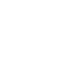 overview_icon