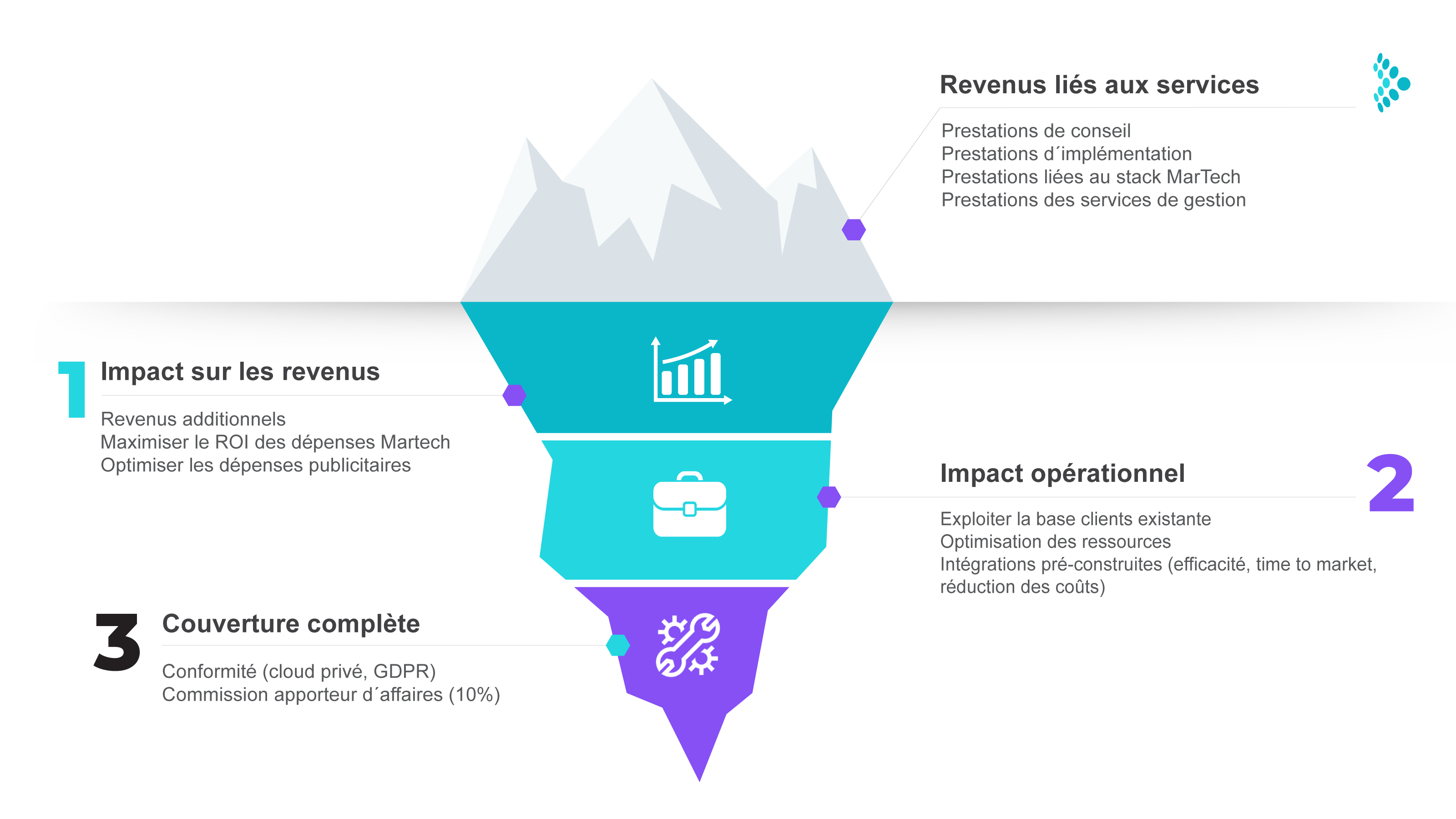 The Partner Iceberg - French