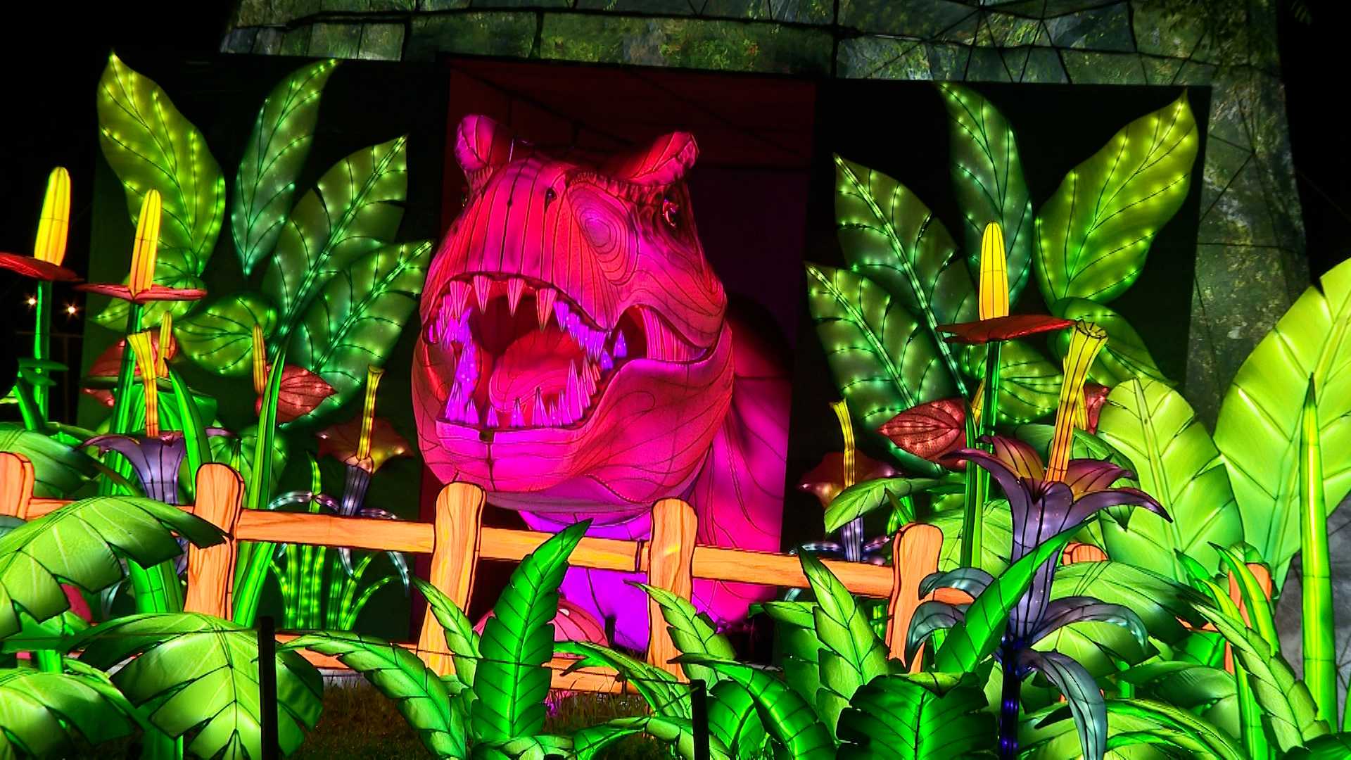 After taking a year off, Wild Lights festival shines again at Louisville Zoo