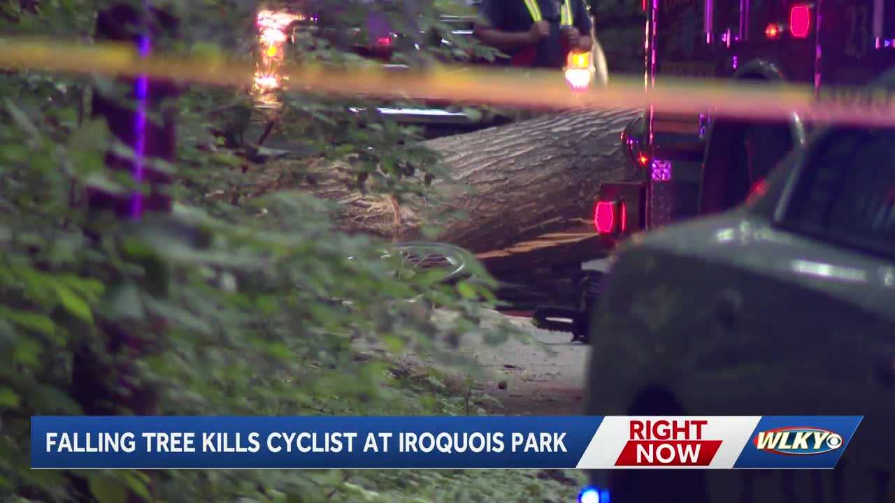 Woman recounts aftermath of tree falling, killing cyclist in Iroquois Park