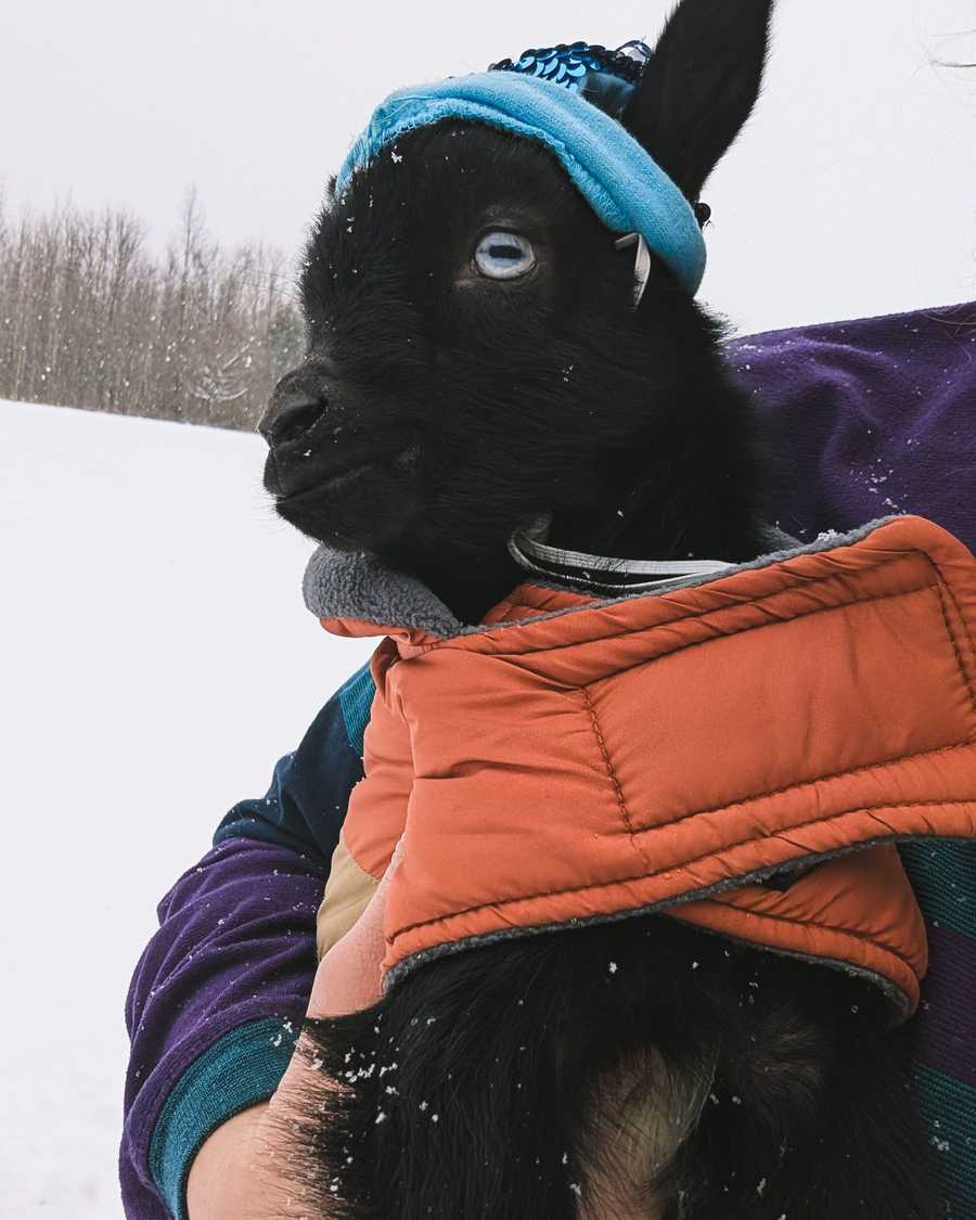 peyote's first snow (winter storm 2026)