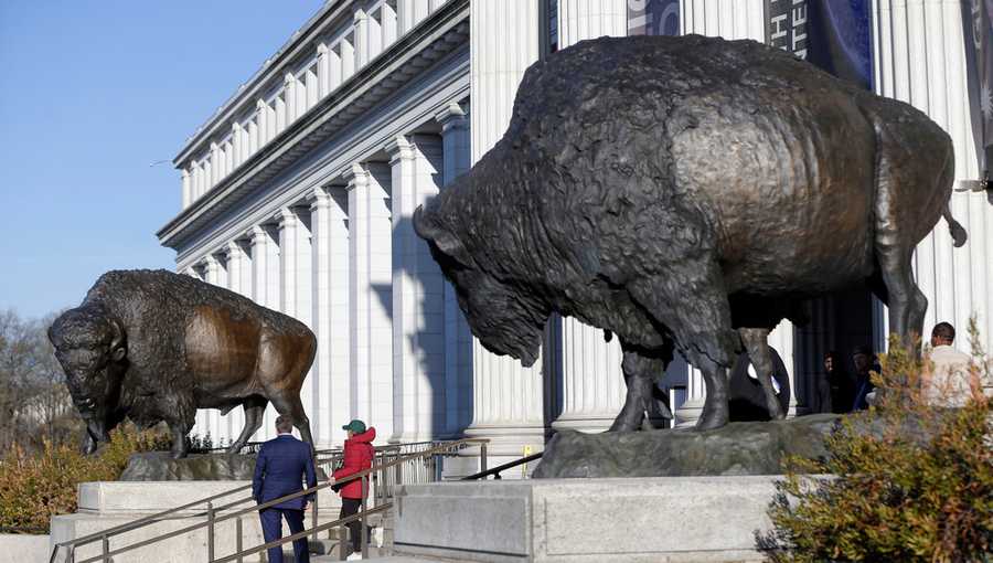 Bison statues cast in bronze are on permanent display outside the Smithsonian&apos;s National Museum of Natural History, Friday, March 20, 2026, in Washington. (AP Photo/Rahmat Gul)