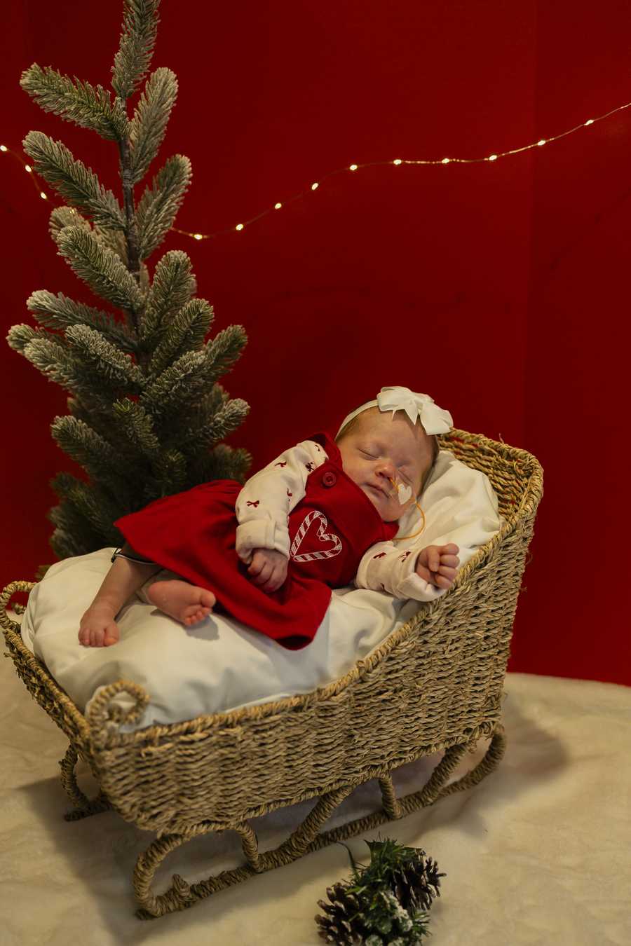nicu baby christmas shoot 2025