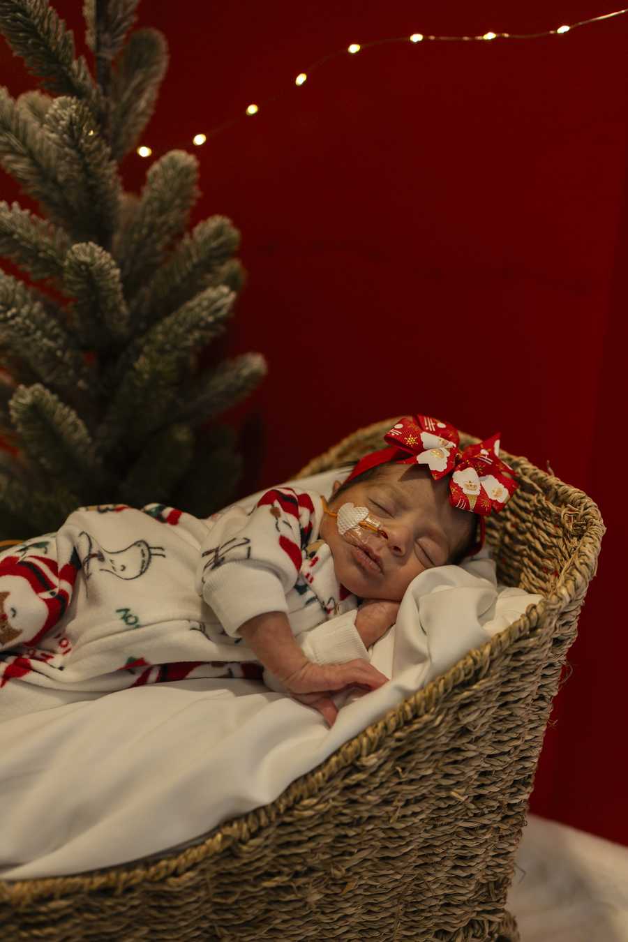 nicu baby christmas shoot 2025