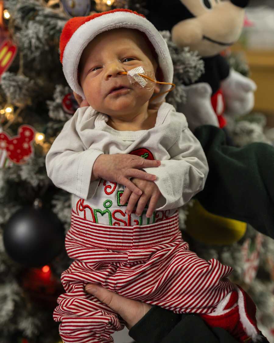 nicu baby christmas shoot 2025