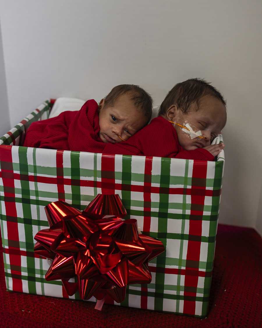 nicu baby christmas shoot 2025
