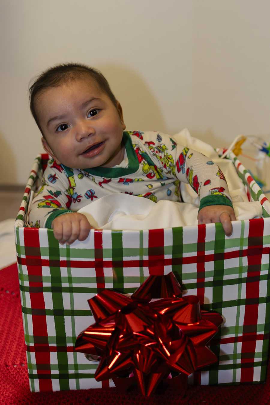 nicu baby christmas shoot 2025