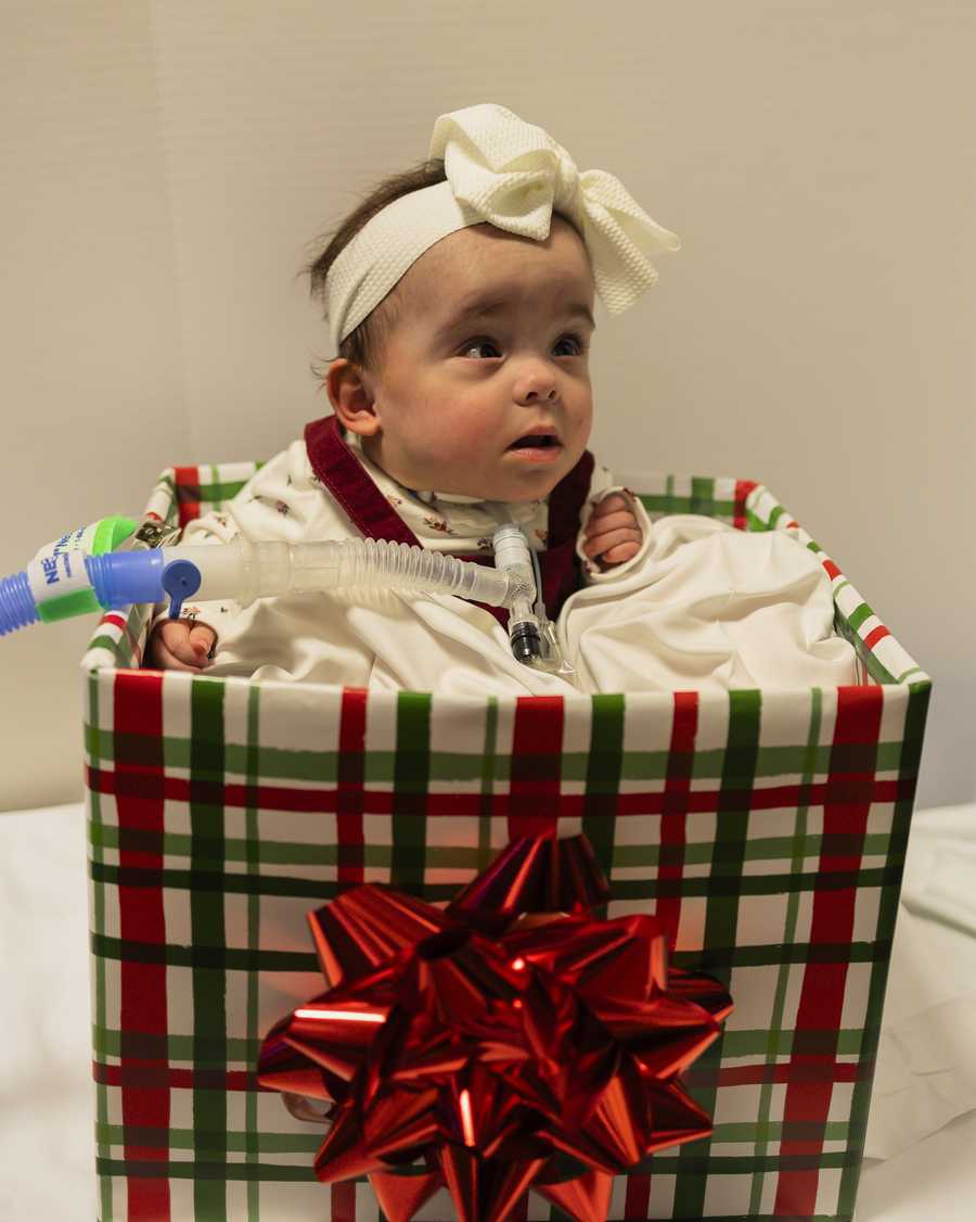 nicu baby christmas shoot 2025