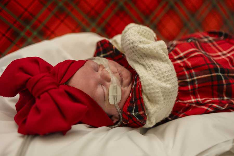 nicu baby christmas shoot 2025