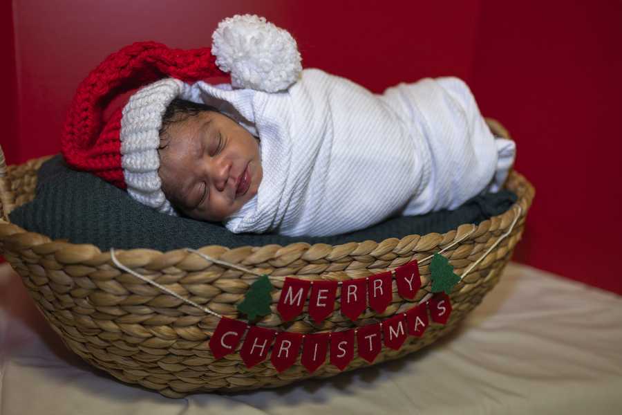 nicu baby christmas shoot 2025