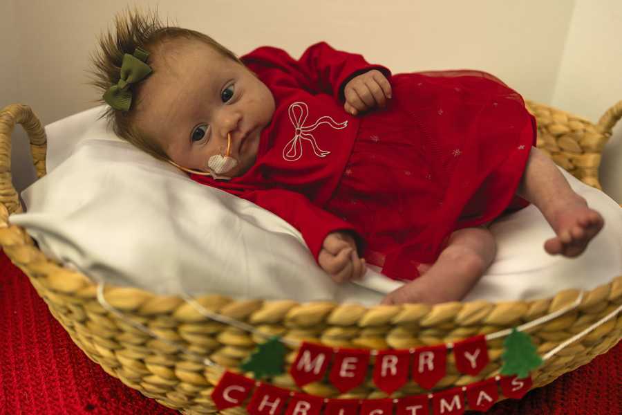 nicu baby christmas shoot 2025