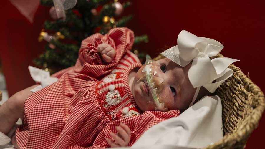 nicu baby christmas shoot 2025