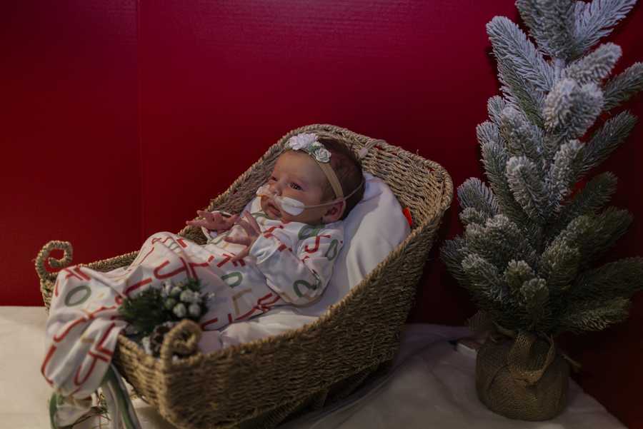 nicu baby christmas shoot 2025