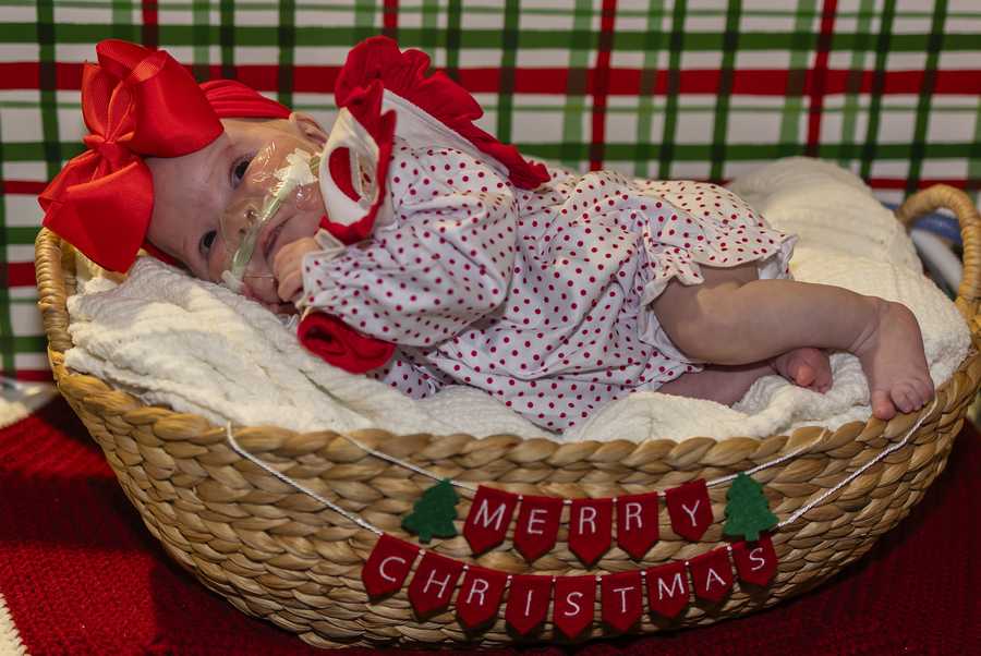 nicu baby christmas shoot 2025