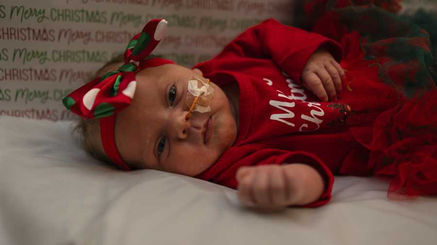 nicu baby christmas shoot 2025