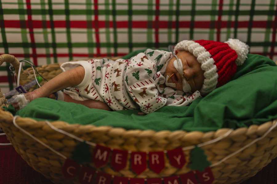 nicu baby christmas shoot 2025