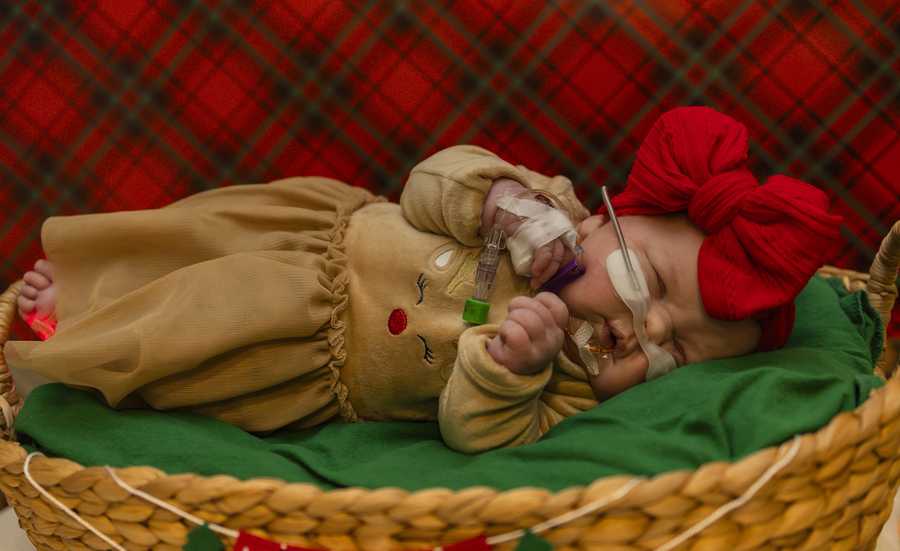 nicu baby christmas shoot 2025