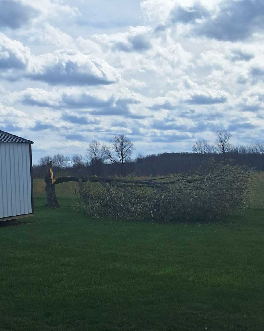 pekin storm damage