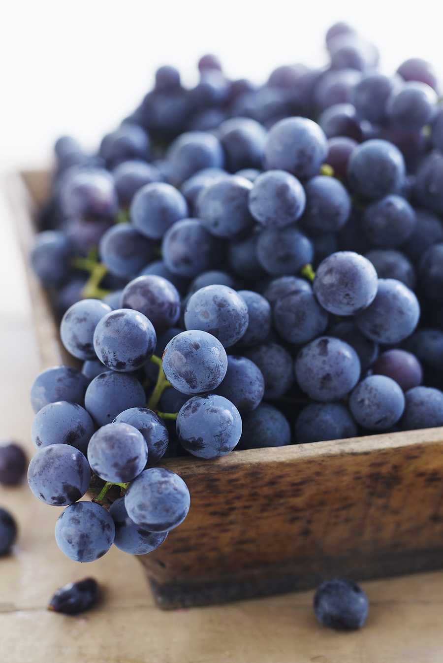 foods to lower cholesterol