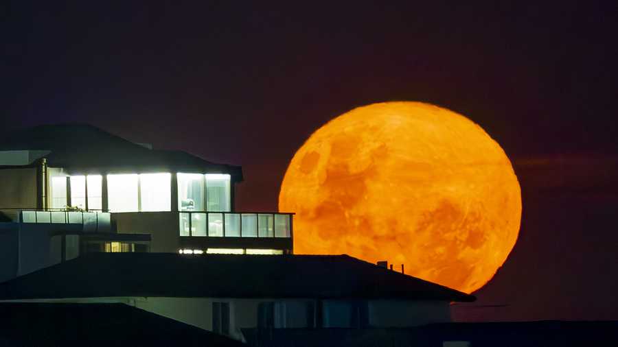 SYDNEY, AUSTRALIA - DECEMBER 05: The last supermoon of the year, known as the “Cold Moon” is seen rising over Bondi Beach in Sydney on December 5, 2025. (Photo by Izhar Khan/Getty Images)