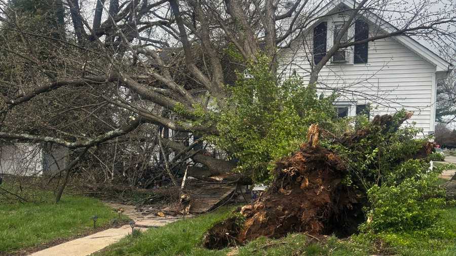 bardstown storm debris