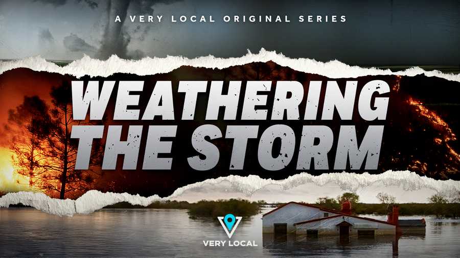 weathering the storm keyart